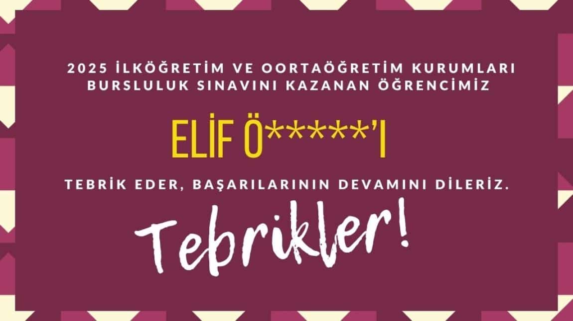 Elif Ö. Bursluluk Sınavını Kazandı
